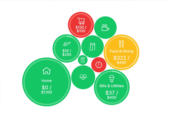 Picture of Bubble Budgets in Money Desktop